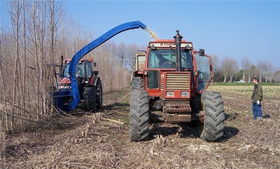 Produzione combustibile a biomassa